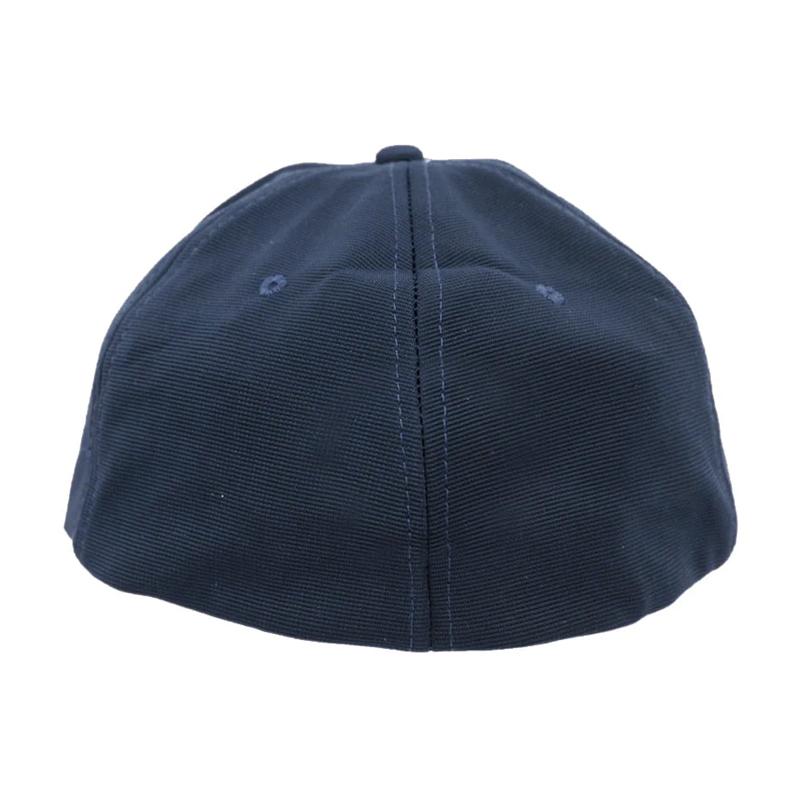 Flexi Fit Cap - Blue Color